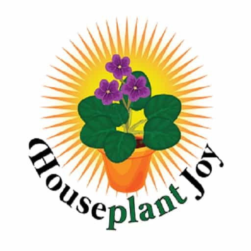 HouseplantJoy.com