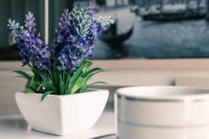 Reduce Stress with houseplants | lavender