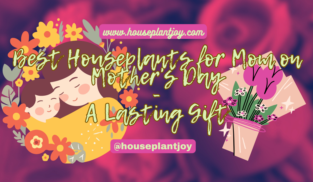 Best Houseplants for Mom on Mother’s Day – A Lasting Gift