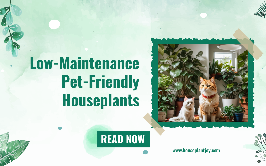 Low-Maintenance Pet-Friendly Houseplants