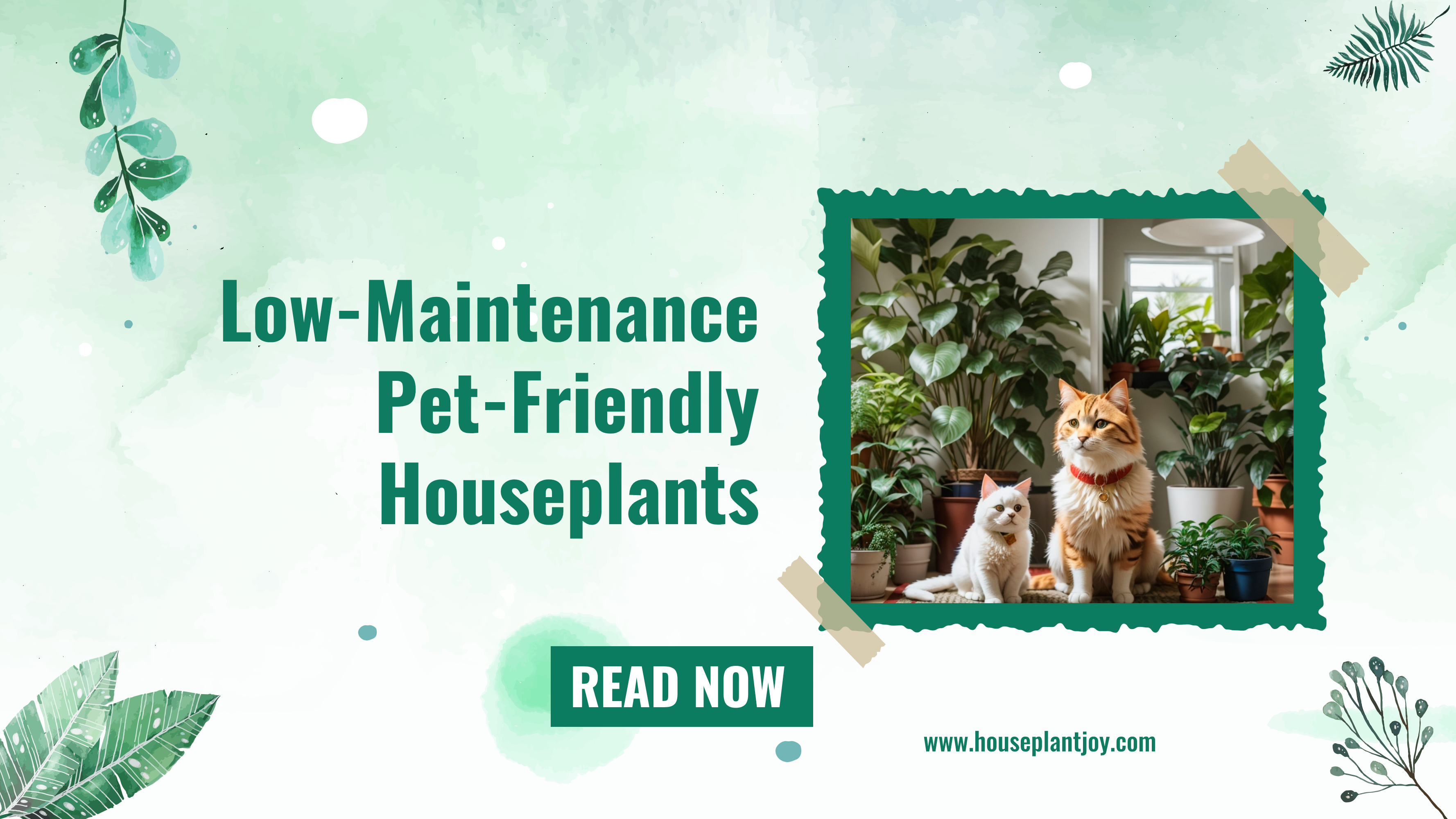 Pet-Friendly Houseplants