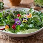 grow salad indoors