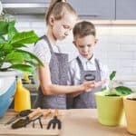 Houseplants for Children, Family Friendly Plants