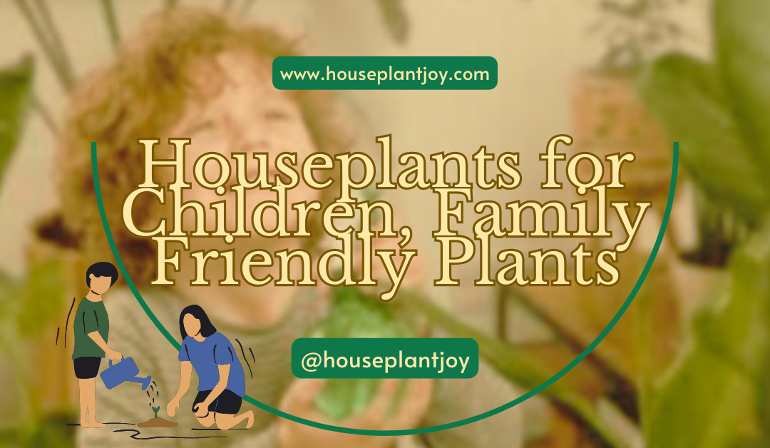 Houseplants for Children, Family Friendly Plants
