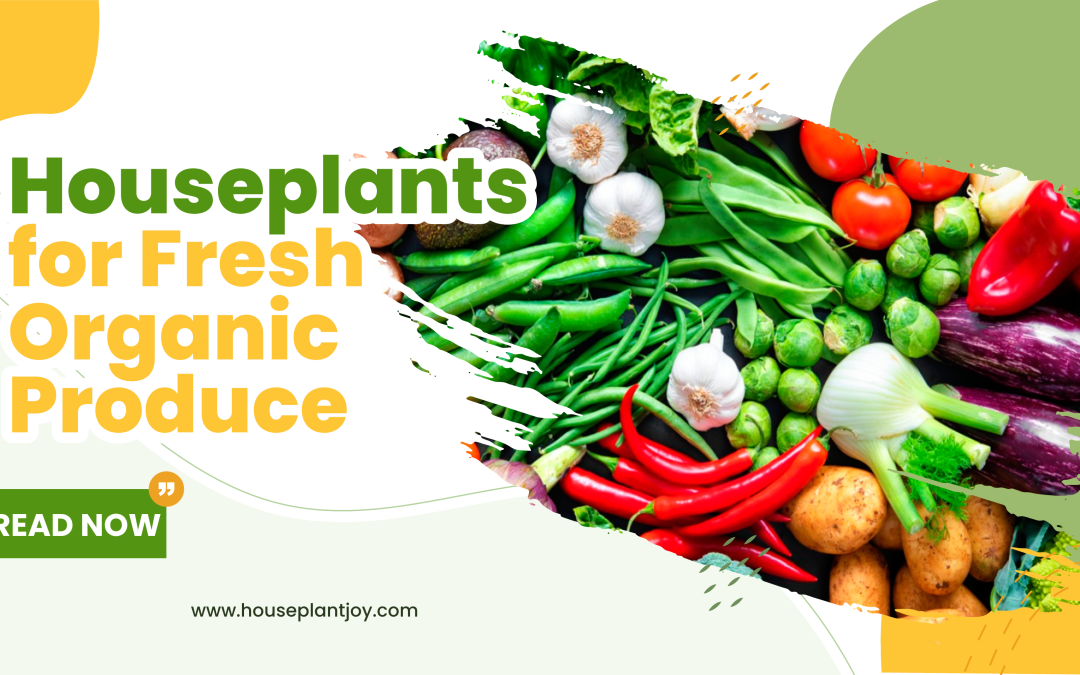 Houseplants for Fresh Organic Produce
