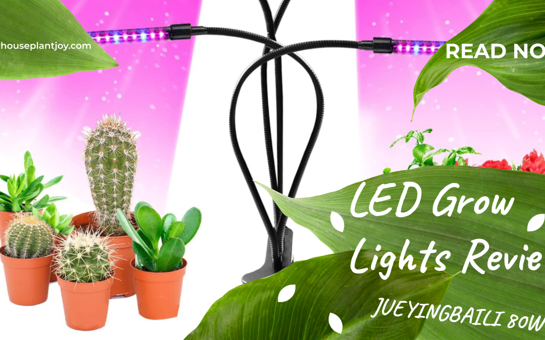 LED Grow Lights Review JUEYINGBAILI 80W – Light up Your Plants!