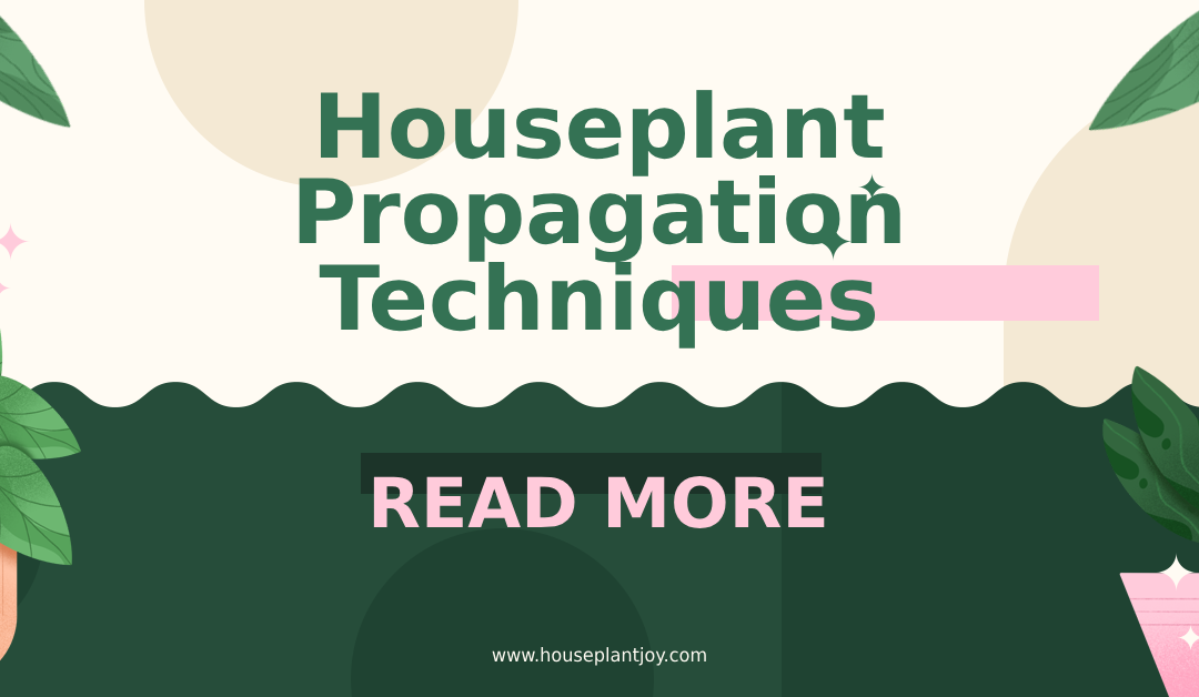 Houseplant Propagation Techniques