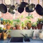 best plants for the kitchen