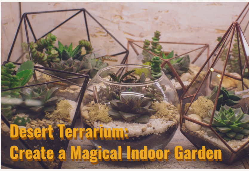 Desert Terrarium: Create a Magical Indoor Garden