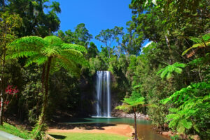 tropical rainforest waterfall