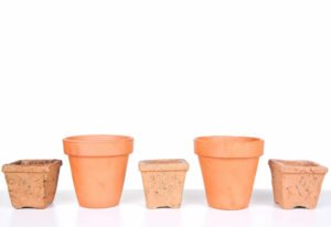 terracotta pots vs clay pot