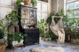decorate with houseplants