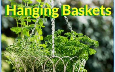 Herb Garden Hanging Baskets