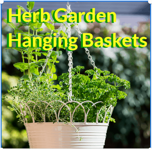 Herb Garden Hanging Baskets for 2022