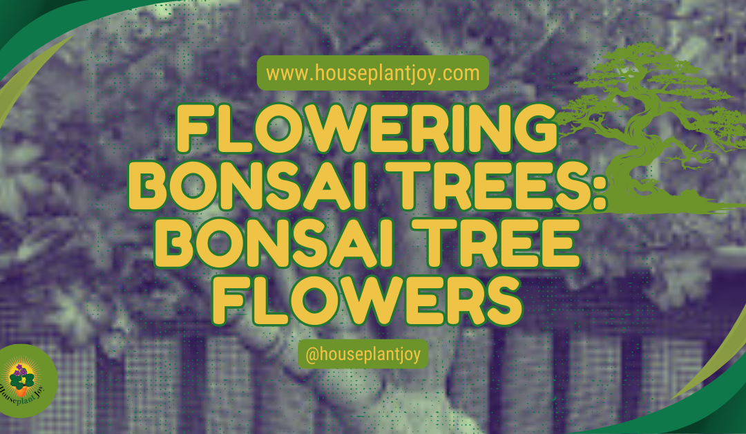 Flowering Bonsai Trees: Bonsai Tree Flowers