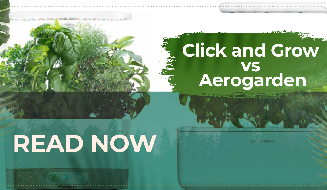 Click and Grow vs Aerogarden Comparison