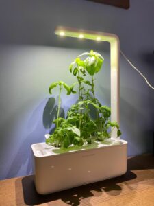 click and grow light