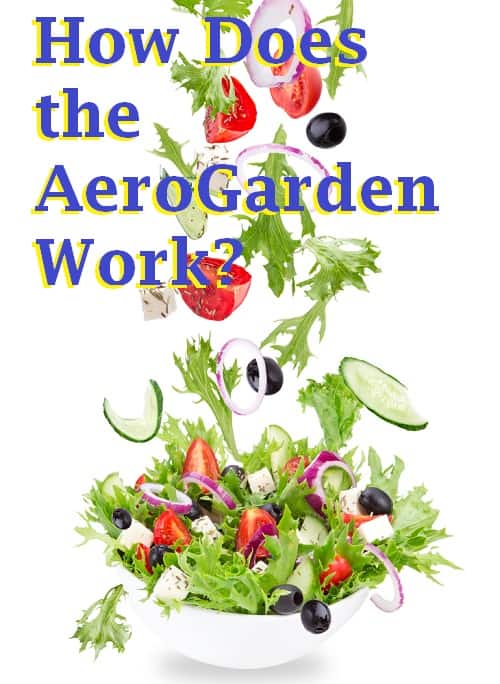 How Does the Aerogarden Work? Our Review.