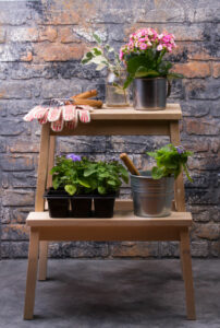 click and grow stand