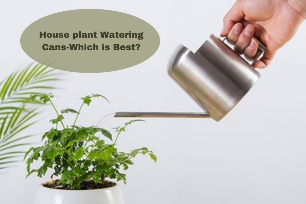 House plant watering