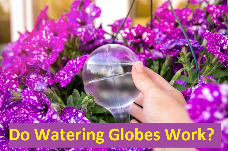 do watering globes work