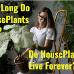 how long do houseplants live