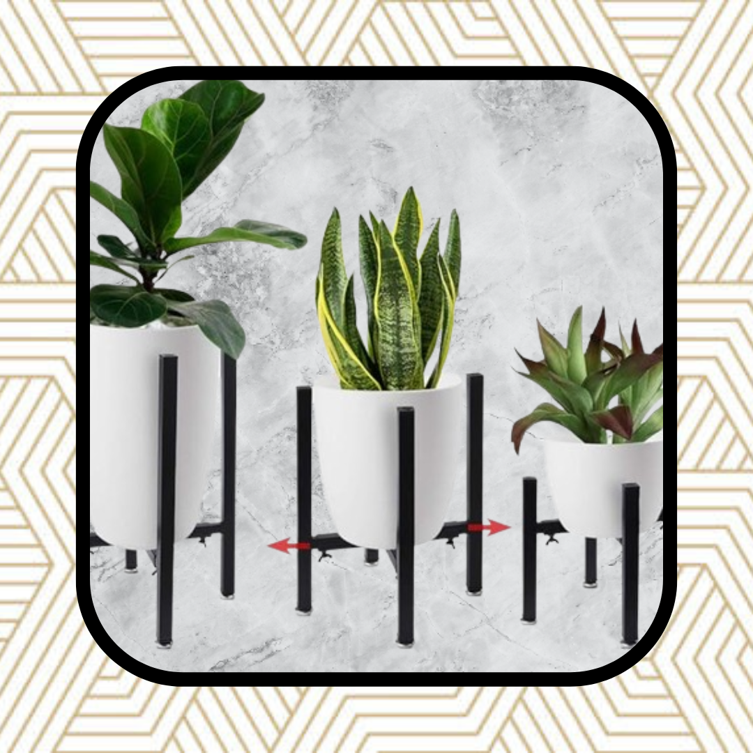 Pole for Indoor Hanging Plants Our Top Picks