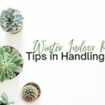 Winter Indoor Plants; Tips in Handling Them