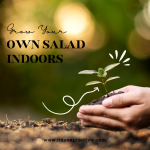 Title-Grow Your Own Salad Indoors