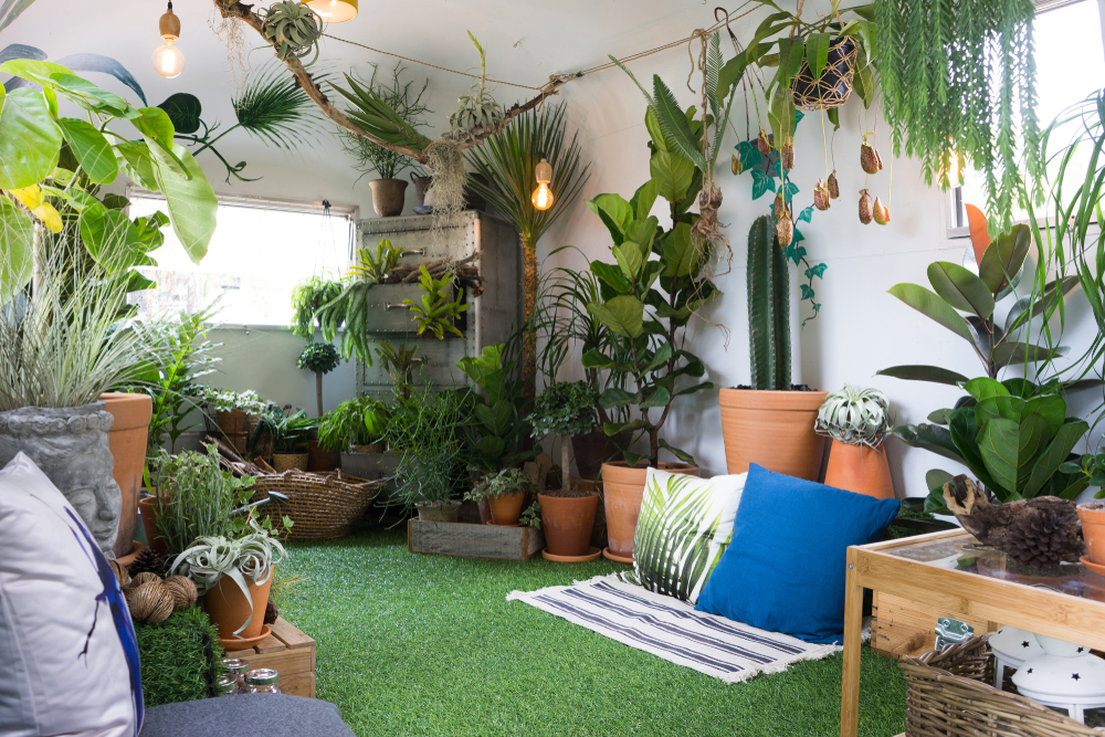 How to Create a Garden Haven in Your Living Room