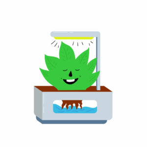 grow your own herbs indoor kit