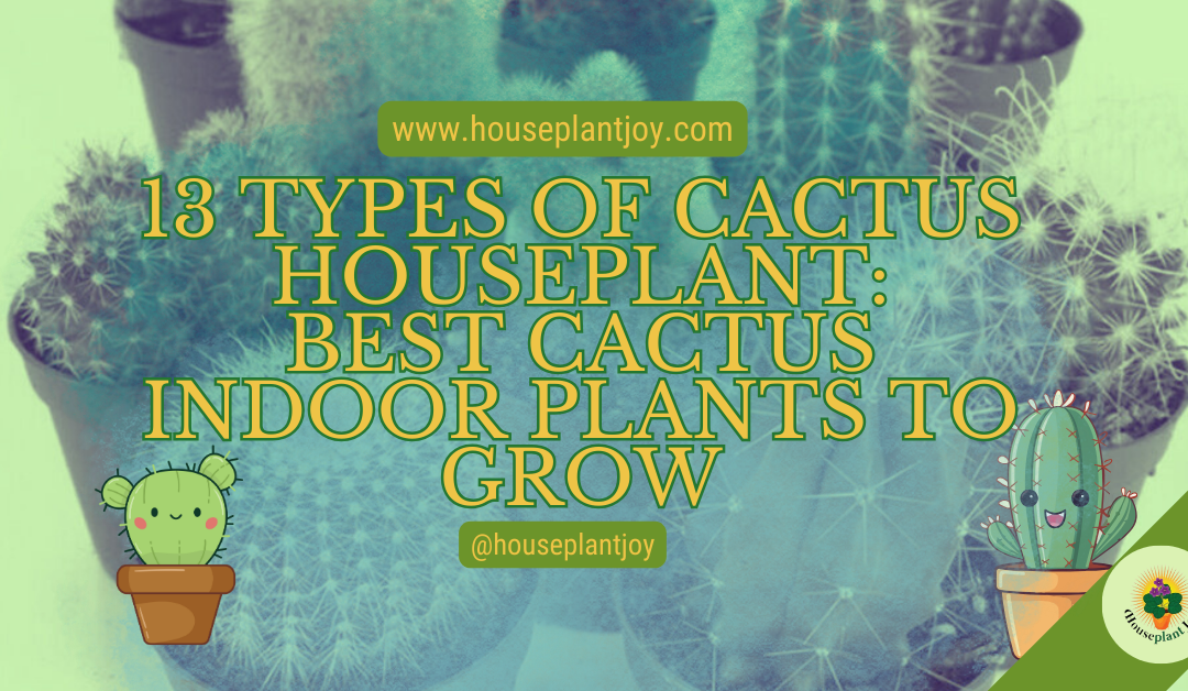 13 Types of Cactus Houseplant: Best Cactus Indoor Plants