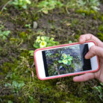 top apps to identify plants