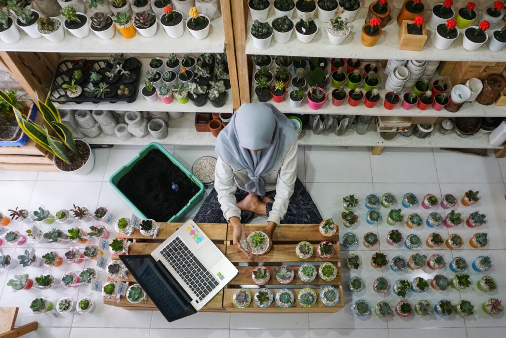 sell succulents online