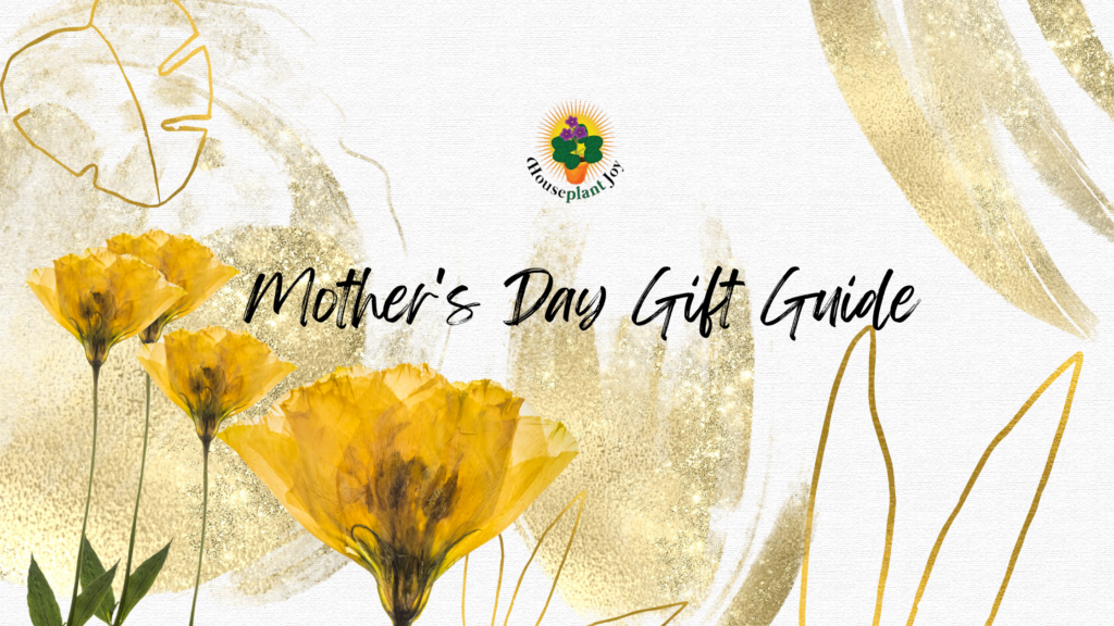 Mother’s Day Gift Ideas Under $50