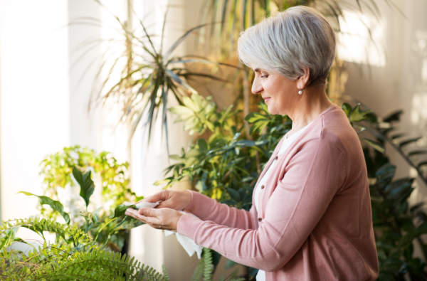Happy senior tending houseplants to support wellbeing