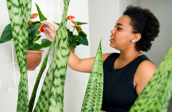Woman looks after house plants to support wellbeing