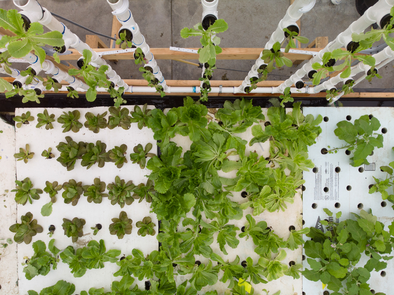 hydroponics gardening systems