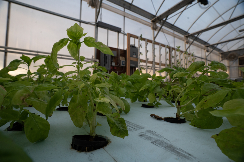 hydroponics gardening systems