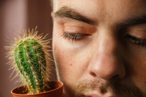 Cactus Health 