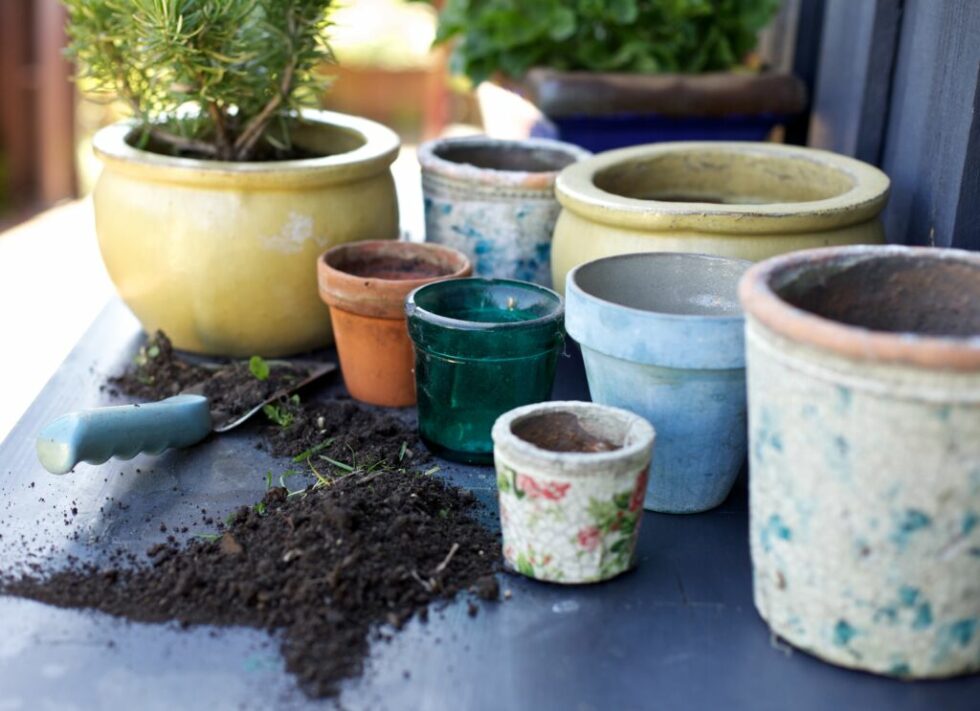 Types of Plant Pots - HouseplantJoy.com