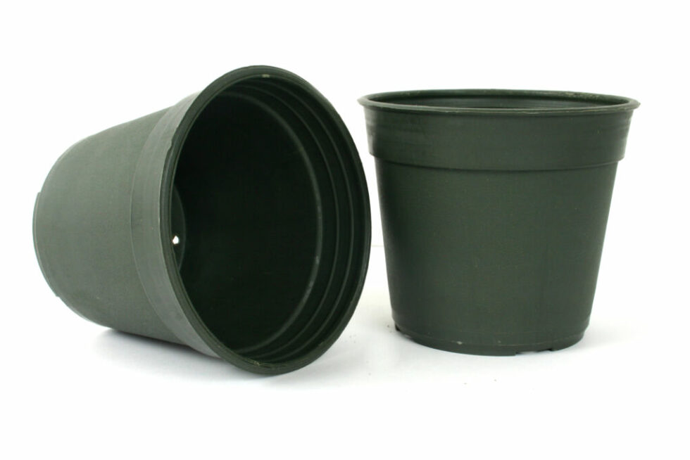 Types of Plant Pots
