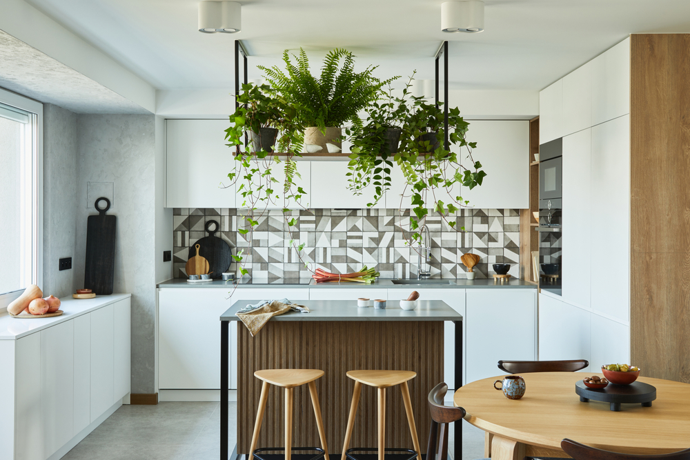 indoor kitchen plants
