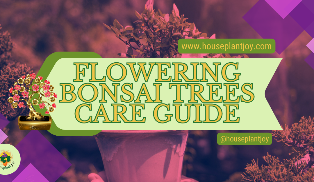 Flowering Bonsai Trees Care Guide