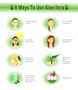 aloe vera plant uses