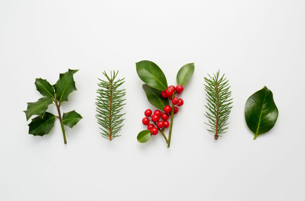 Holiday Decorating With Houseplants, Tips