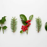 holiday decorating with houseplants