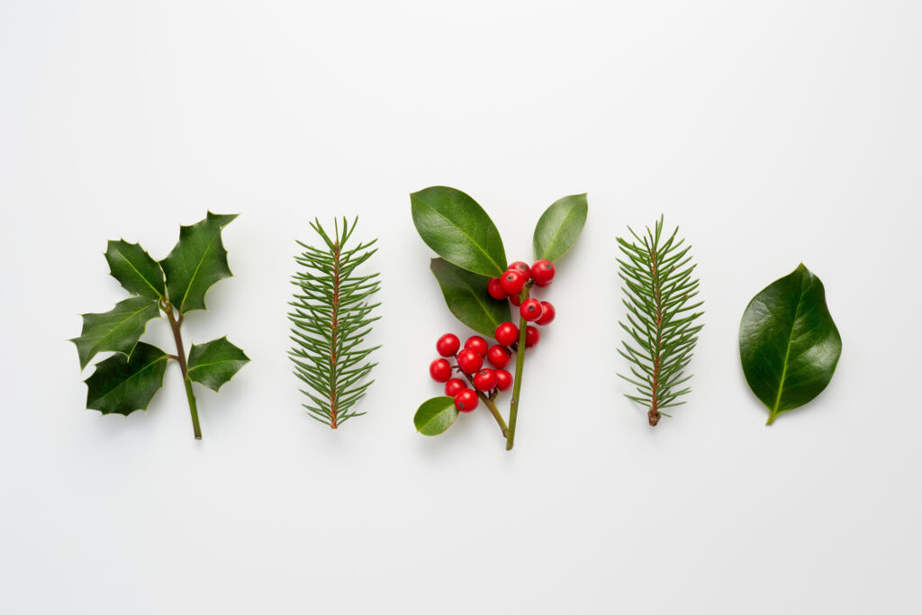 holiday decorating with houseplants