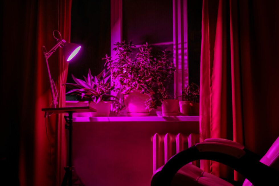Indoor Plant Light Guide (Grow Lights)