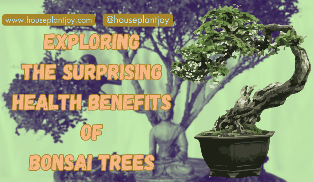 The Surprising Health Benefits of Bonsai Trees